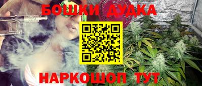 Альфа ПВП Пушкино